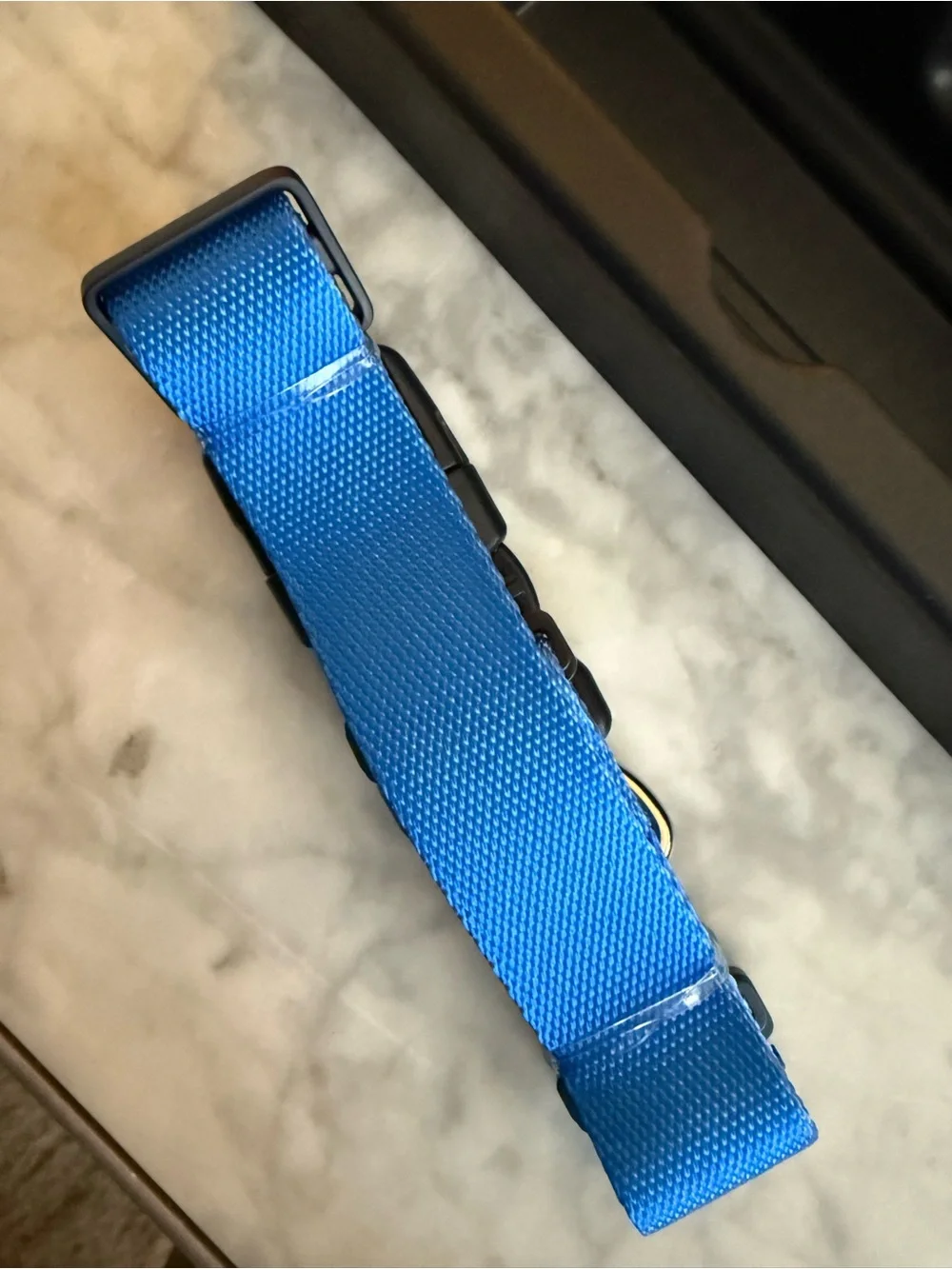 NEW Fi Series 3 Dog Collar Band Blue Size Medium – Band Only No GPS Device